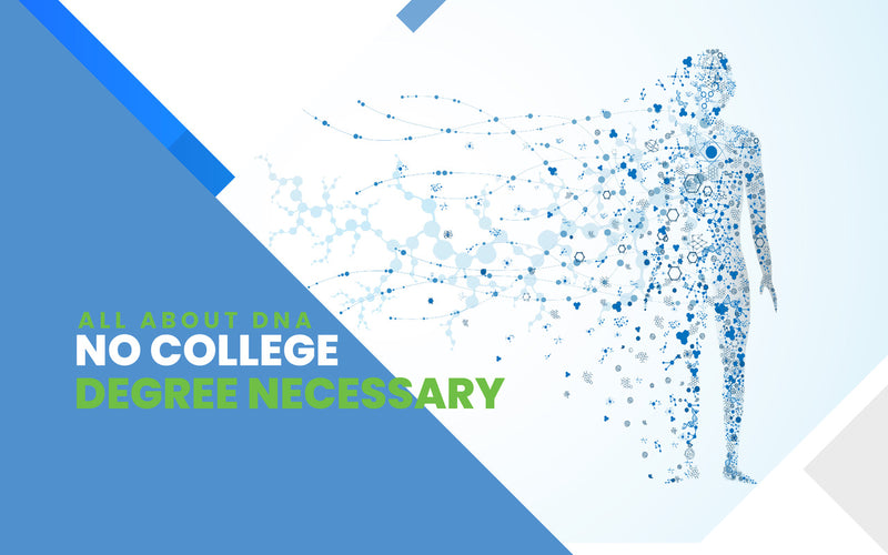 Understanding DNA: Basics & Functions