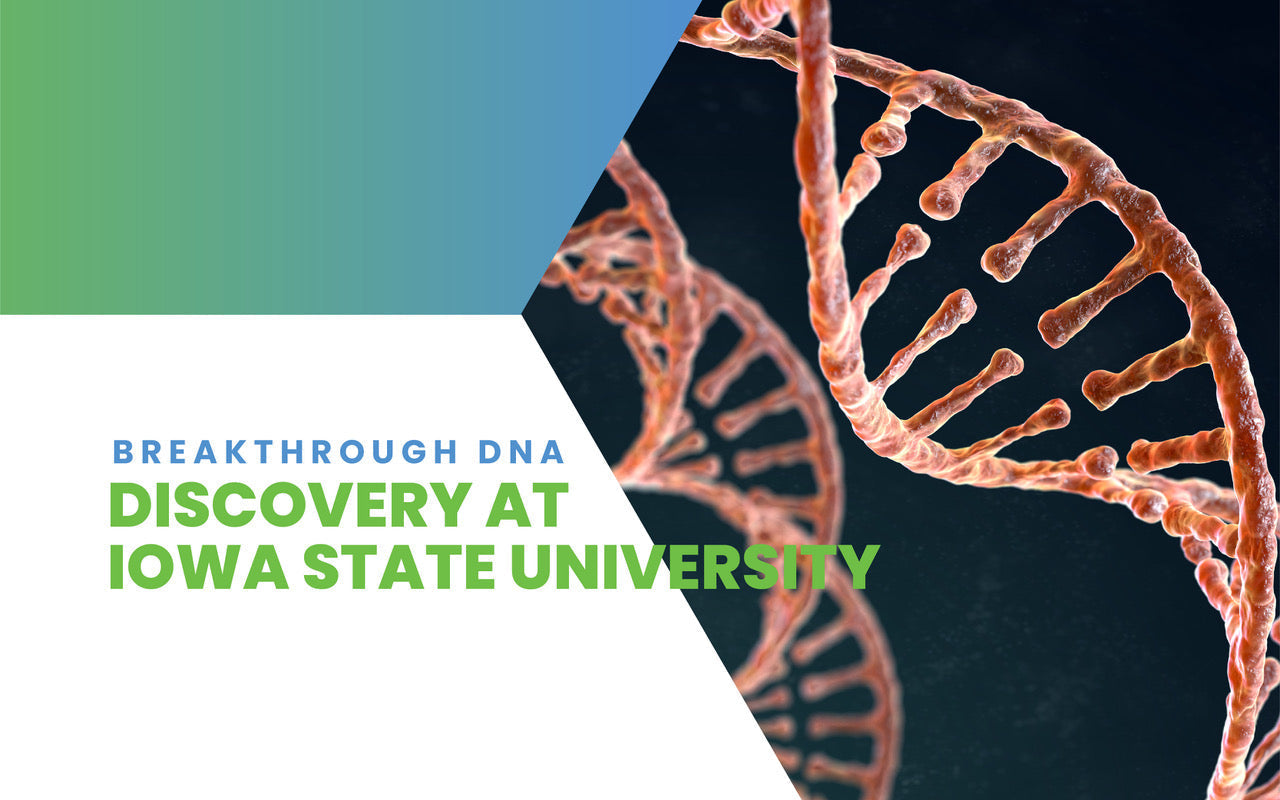Breakthrough DNA discovery at Iowa State University - DNA double helix.
