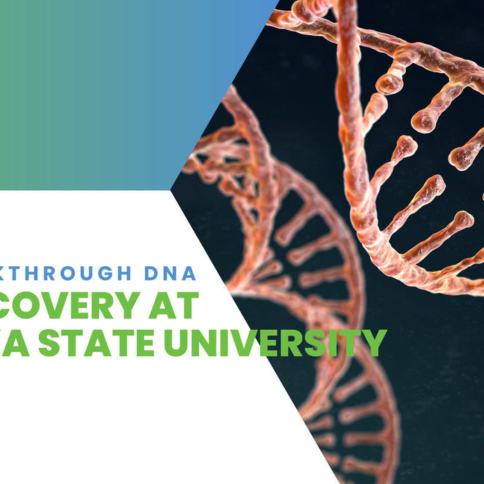 Breakthrough DNA discovery at Iowa State University - DNA double helix.