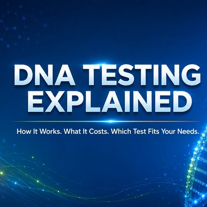guide explaining how DNA testing works, costs, and choosing the right relationship test.