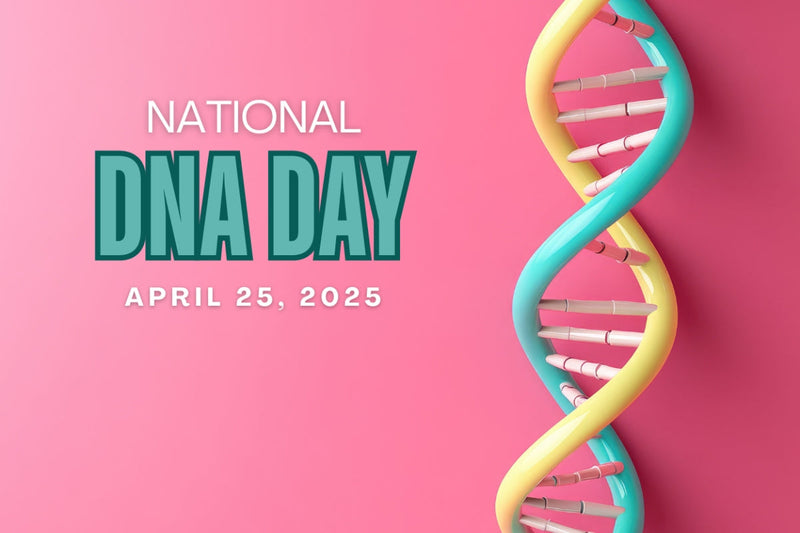 Pink background with a teal and yellow DNA helix. Text reads: National DNA Day April 25, 2025. Image by My Forever DNA.
