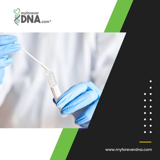 Accurate Home Paternity DNA Testing