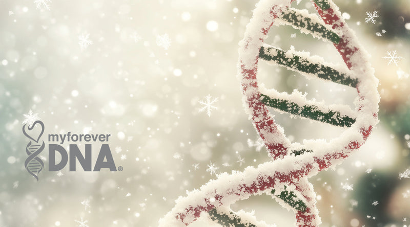Snow-covered DNA helix with snow and the My Forever DNA logo at the bottom left, highlighting winter DNA testing services.