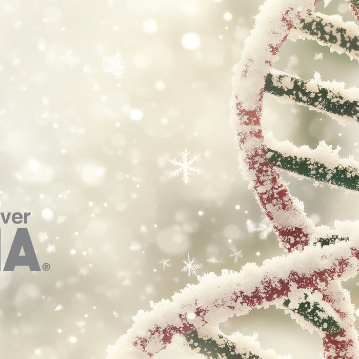 Snow-covered DNA helix with snow and the My Forever DNA logo at the bottom left, highlighting winter DNA testing services.