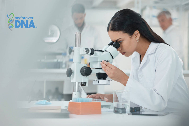 Scientist at My Forever DNA lab verifying results, showcasing the highest accreditation standards
