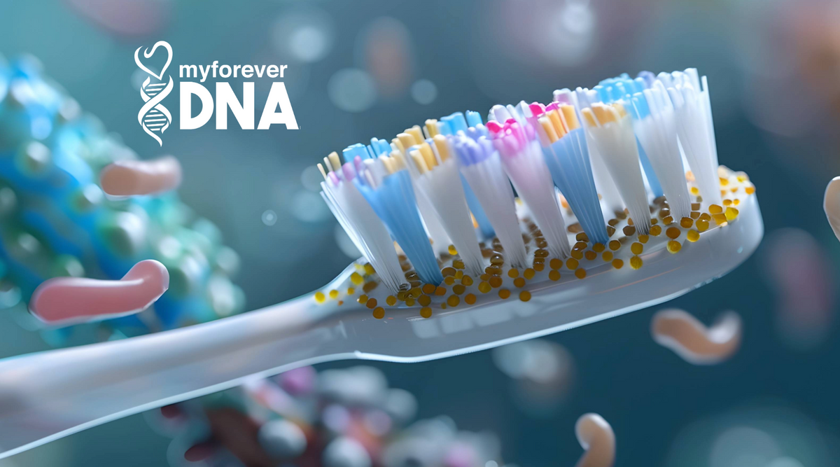Close-up of a toothbrush with colorful bristles, symbolizing alternative DNA sample collection for private and secret testing with My Forever DNA. The image emphasizes confidentiality and innovative testing methods.