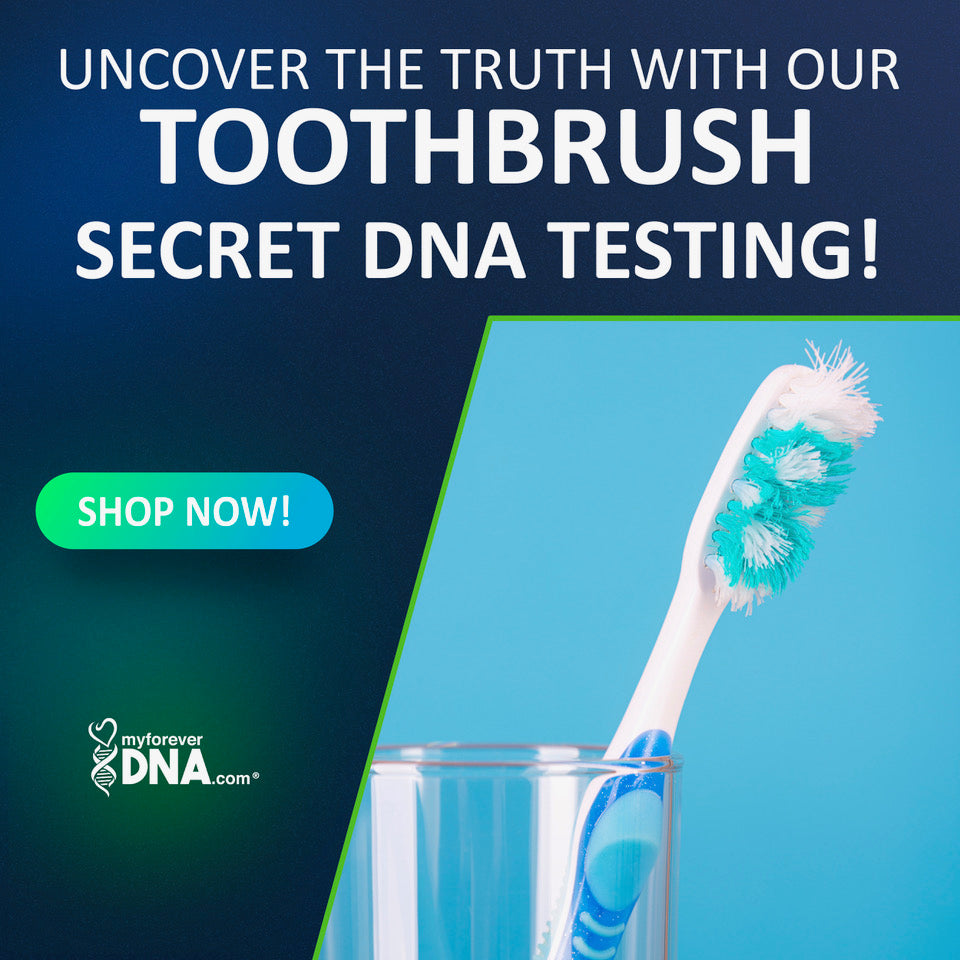 Close-up of toothbrushes used for secret DNA testing with My Forever DNA’s discreet at-home paternity test kit.